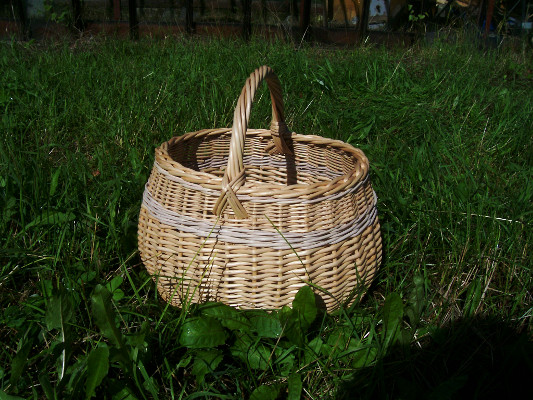 Боровинка